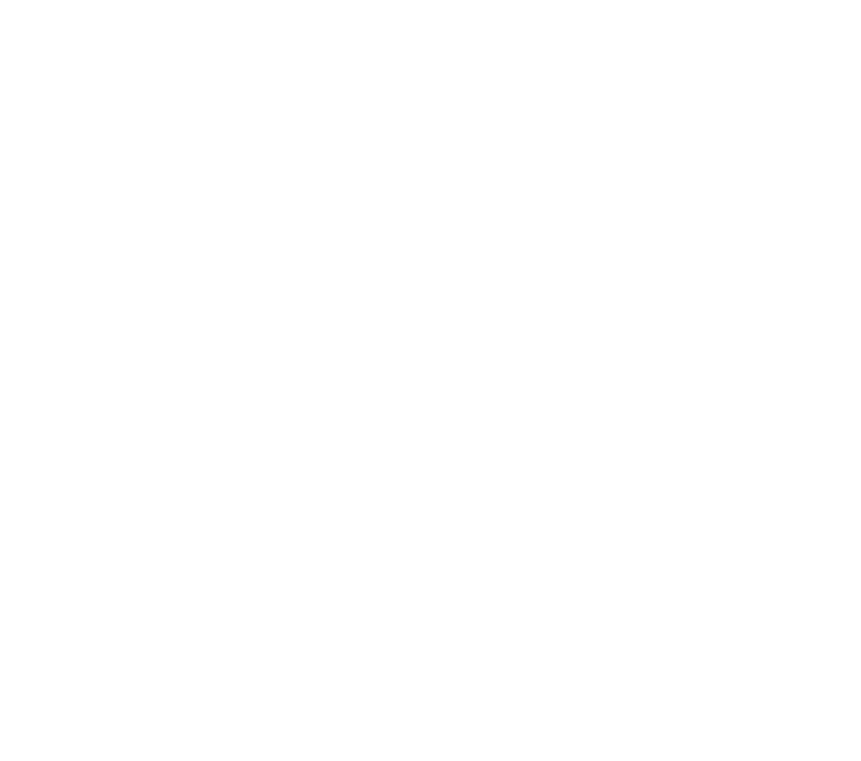 logo blanc t. elnoso telnoso.fr